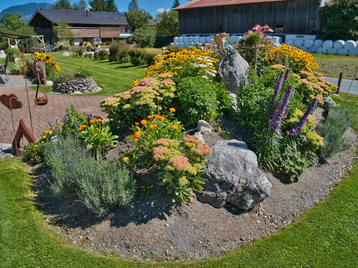 Traumgarten mit verschiedenen Blumen und Kräutern