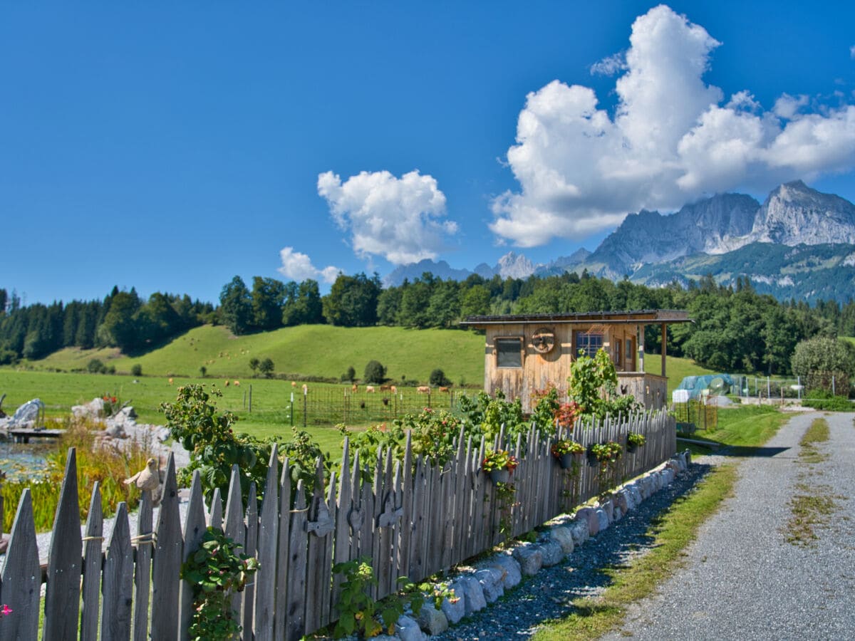 Ein wunderschöner Blick auf den Wilden Kaiser