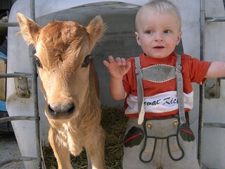 Appartamento per vacanze St. Johann in Tirol Ambiente 28