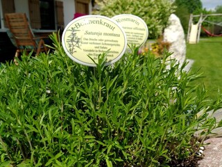 Appartamento per vacanze St. Johann in Tirol Registrazione all'aperto 9