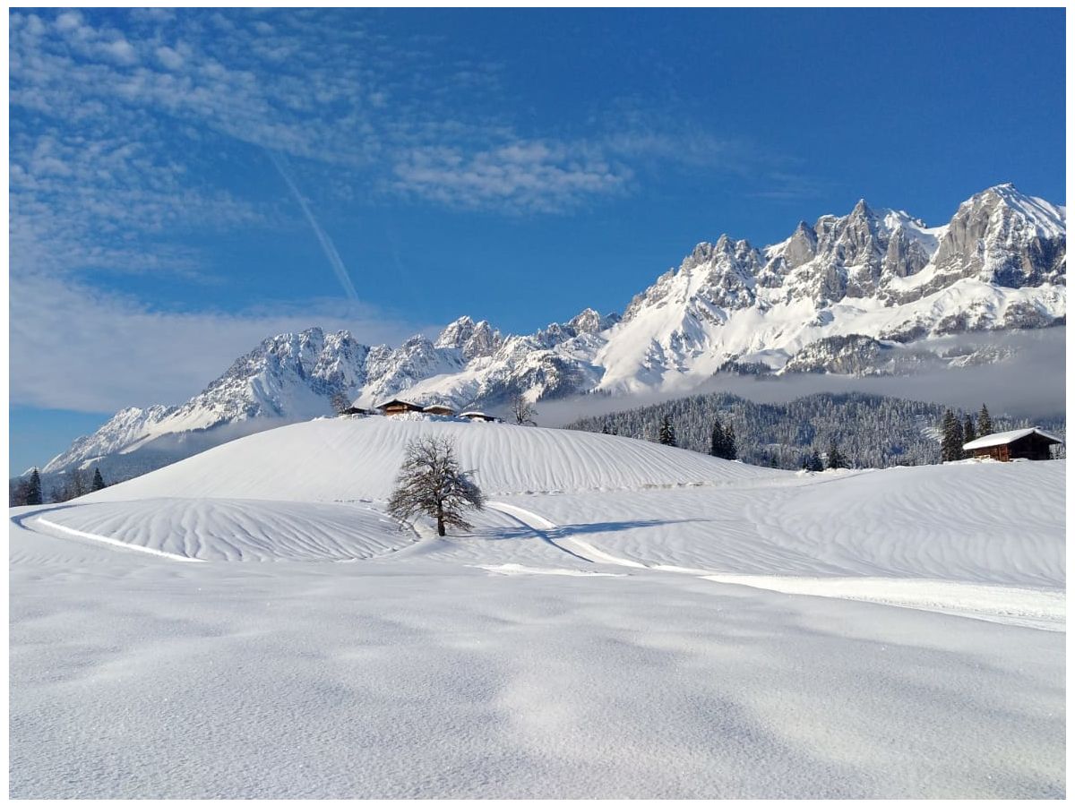 Blick auf den Wilden Kaiser