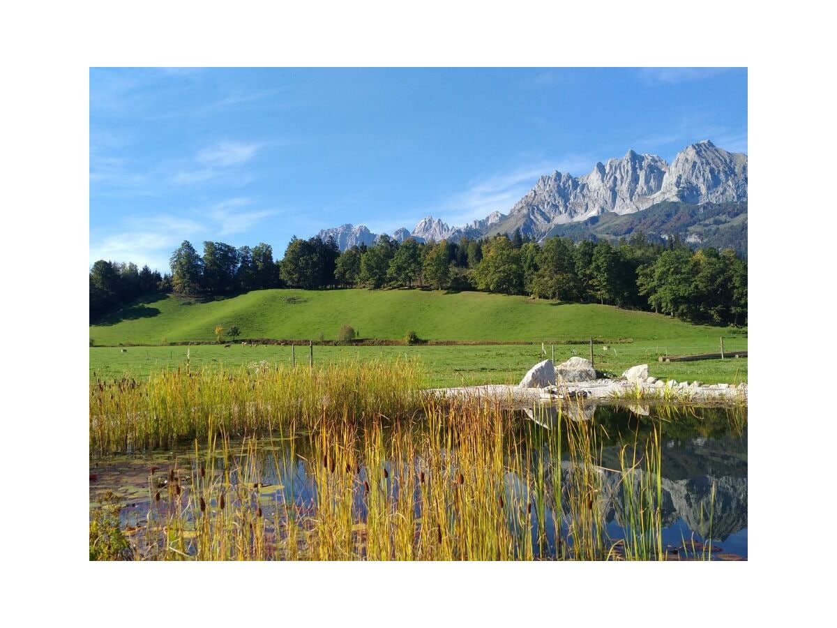 Schwimmteich mit herrlichen Blick auf den Wilden Kaiser