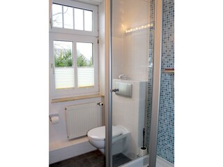Dusche & WC im Badezimmer