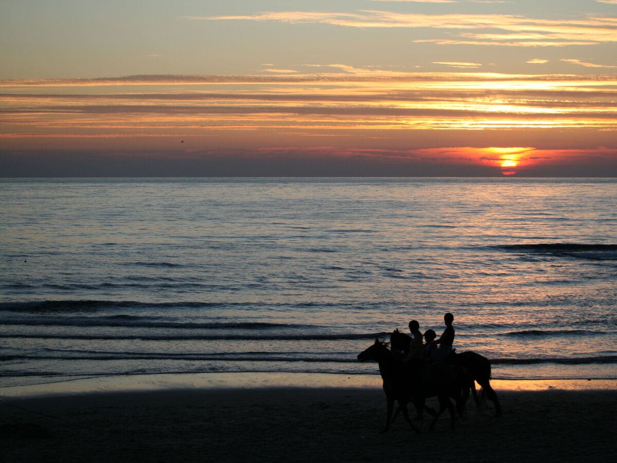 Reiten am Strand