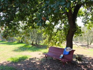 Casa per le vacanze Castiglion Fiorentino Registrazione all'aperto 8