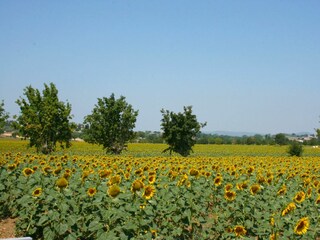Casa per le vacanze Foiano della Chiana Registrazione all'aperto 6