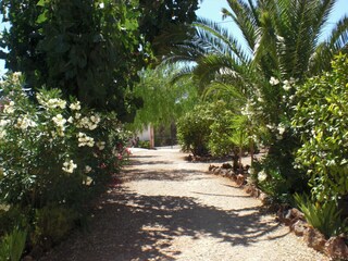 Casale São Bartolomeu de Messines Registrazione all'aperto 9