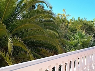 Blick von der Dachterasse