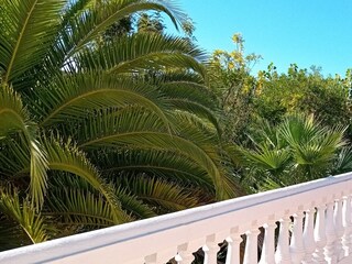Casa de campo São Bartolomeu de Messines Grabación al aire libre 10