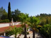 View from the roof terrace towards the garden