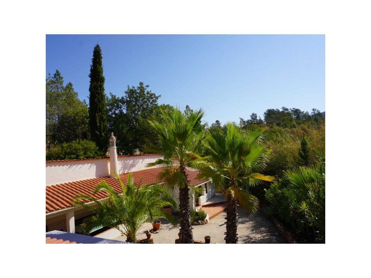 View from the roof terrace towards the garden