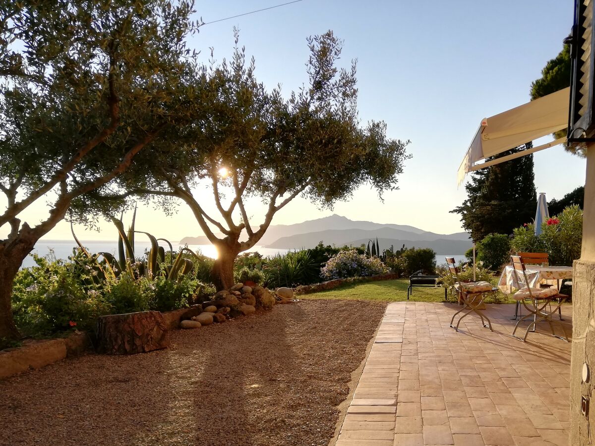 Olivenbäume, Markise oder Schirm bieten Schatten
