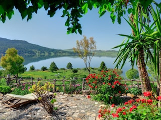 Finca El Arpa