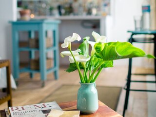 Appartamento per vacanze Campillos Caratteristiche 18