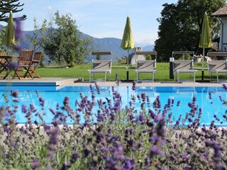 Appartamento per vacanze Lana Ambiente 14