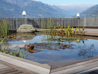 Appartamento per vacanze Lana Ambiente 19