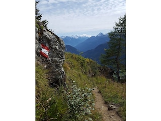 Blick auf den Großvenediger