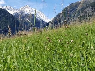 Blick auf die Venedigergruppe