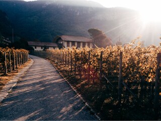 Appartamento per vacanze Terlan Registrazione all'aperto 8