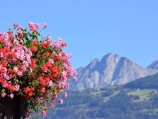Aussicht