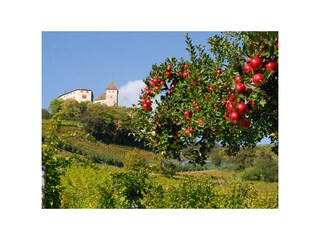 Wehrburg Tisens-Prissian