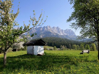 Appartamento per vacanze Going am Wilden Kaiser Ambiente 22