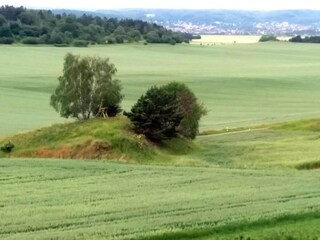 Appartamento Ballenstedt Ambiente 37