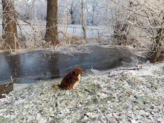 Appartement Ballenstedt Environnement 38