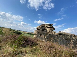 Appartement Ballenstedt Omgeving 55