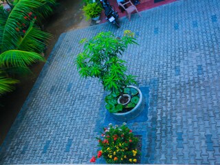 Villa Galle Registrazione all'aperto 8