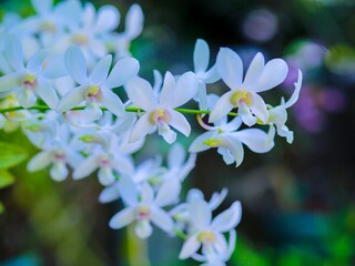 Villa Galle Registrazione all'aperto 9