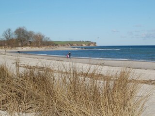 Die Steiküste von Boltenhagen
