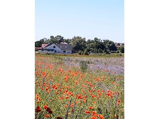 Appartamento per vacanze Kargow Registrazione all'aperto 1