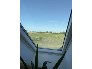 Appartamento per vacanze Kargow Caratteristiche 17