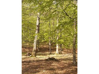 Appartamento per vacanze Kargow Ambiente 30