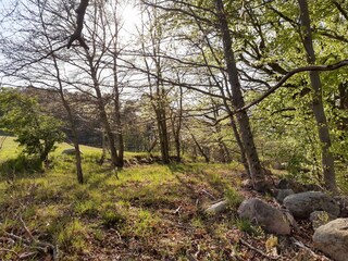 Appartamento per vacanze Kargow Ambiente 32