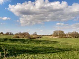 Appartamento per vacanze Kargow Ambiente 31