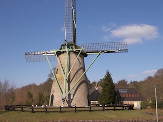 Mühle in Schoorl
