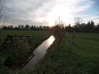 Polder neben unserem Park