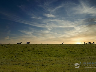 Ferienhaus Hooksiel  22