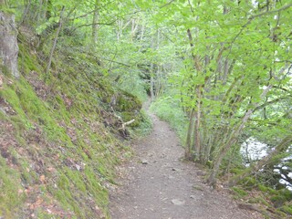 Wanderweg direkt vom Garten aus zu erreichen