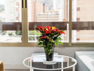 Apartment Alfas del Pi  35