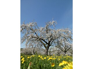 Ferienwohnung Stockach Außenaufnahme 8