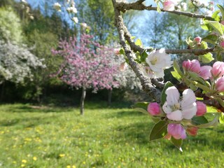 Ferienwohnung Stockach Außenaufnahme 9