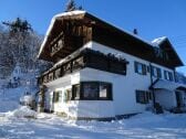 Villa im Wald im Winter