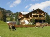 Holiday house Hirschegg im Kleinwalsertal Outdoor Recording 1