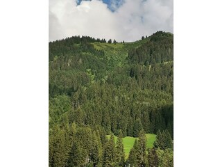 Ferienhaus Hirschegg im Kleinwalsertal Außenaufnahme 6