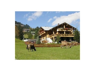 Ferienhaus Hirschegg im Kleinwalsertal Außenaufnahme 2