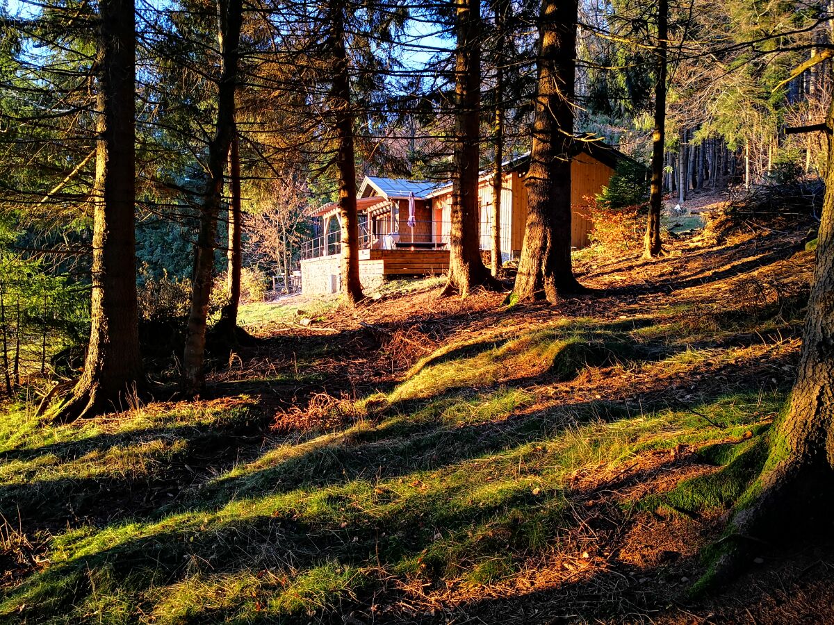 Waldbaden hier ganz einfach..