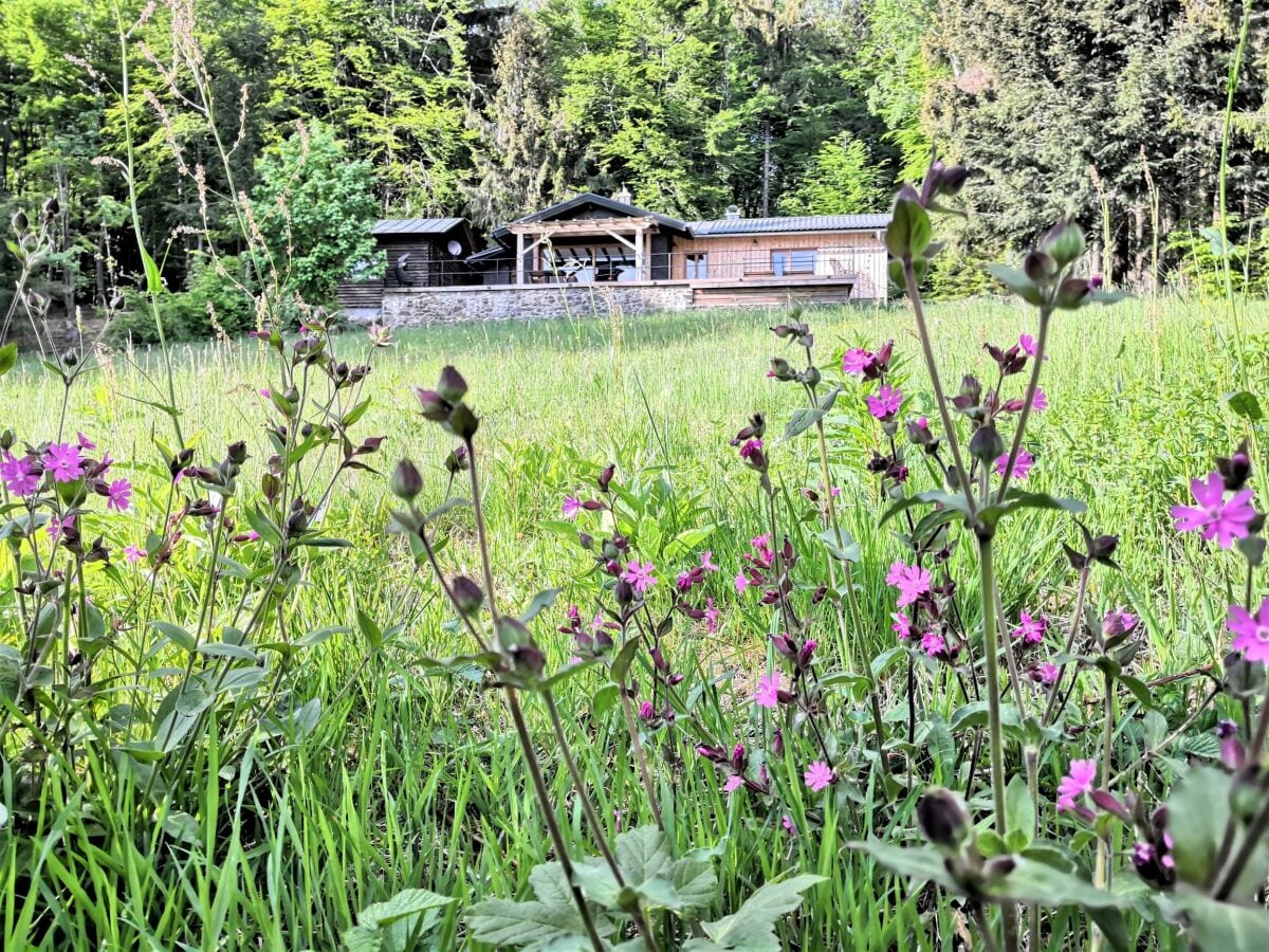 Chalet in traumhafter Waldlichtung.